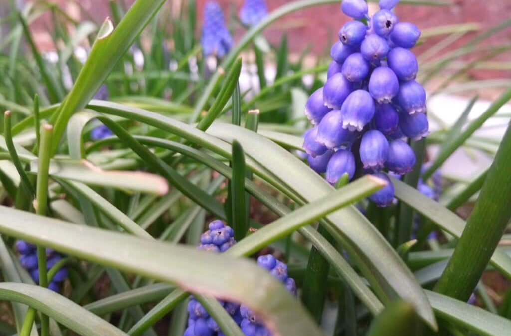 Het is lente in de ogen van de massagetherapeute